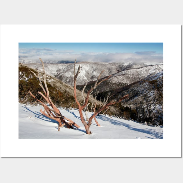 Snow on the mountainside Wall Art by jwwallace